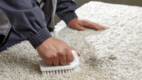 Professional Rug Cleaning Kalorama